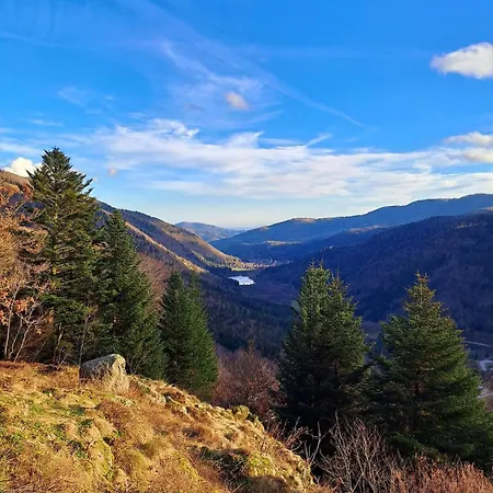 Maison Pres Masevaux Holiday home Rimbach-pres-Masevaux
